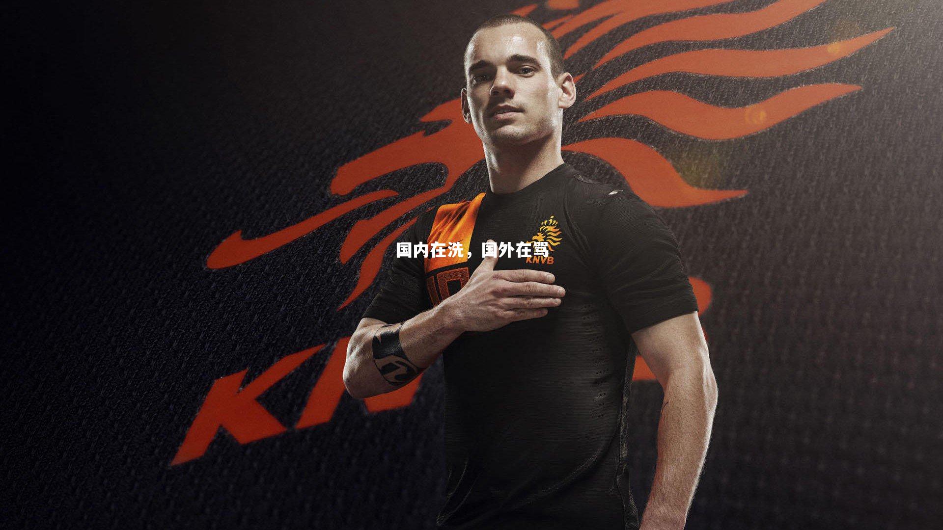 国内在洗，国外在骂